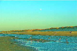 Faut-il éduquer les enfants au développement durable ?