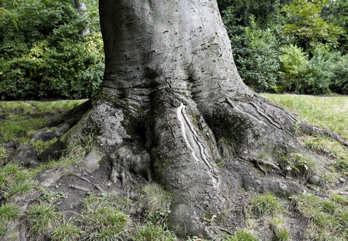 Suffira-t-il d’allonger le tronc commun ?