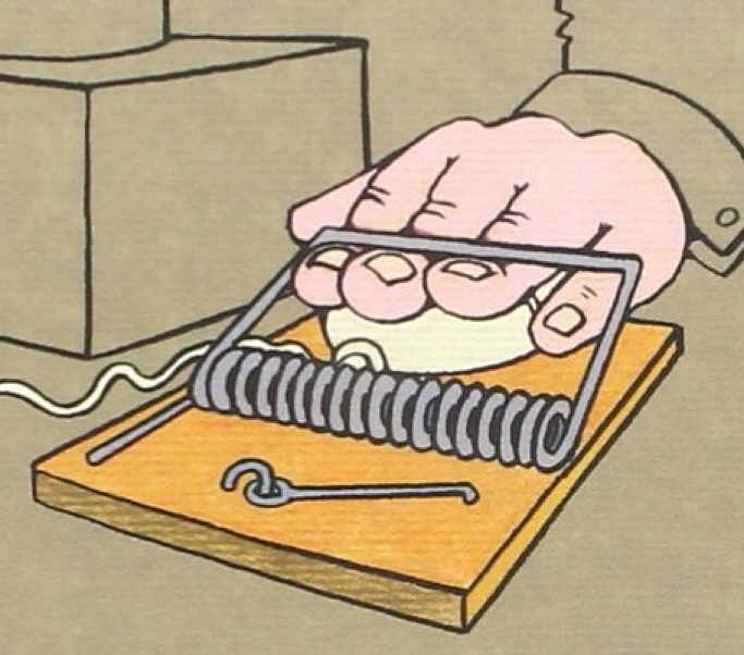 Des souris et des élèves…